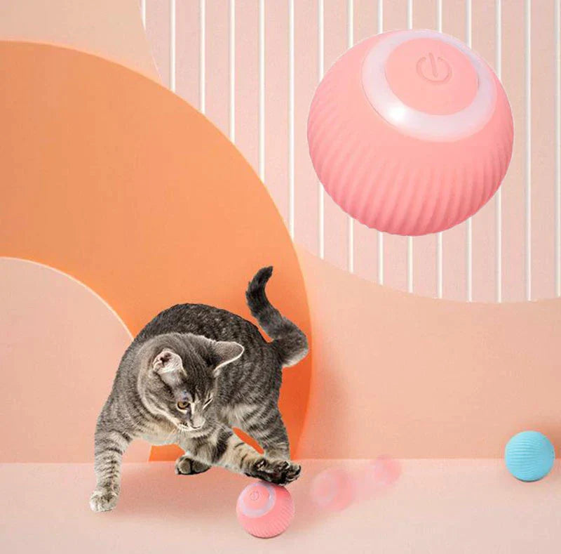 'Orbit' Interactive Cat Ball